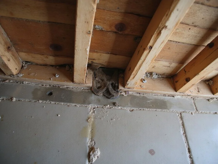 Unbraced cripple wall studs and an unbolted sill plate before retrofit work begins
